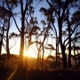 Day 184 – Australia – Blue Mountains – Sunset on the Blue Mountains